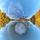 Illustration for article titled Photo wizard warps reality, invokes interdimensional wormholes on Earth